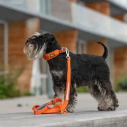 DOG Copenhagen Urban Trail™ Line