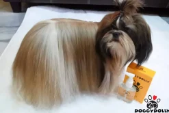 Doggydolly Silk coat | 85 ml