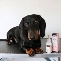 Dogman Øjenrens 50ml