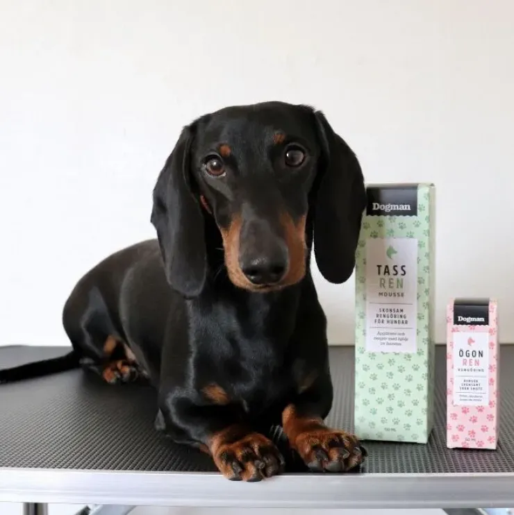Dogman Poterengøring Mousse 150ml