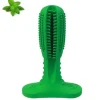 Dog Toothbrush stick | Hundetandbørste | OUTLET