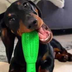 Dog Toothbrush stick | Hundetandbørste | OUTLET
