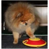 Dog Treat Maze | Aktivitets legetøj