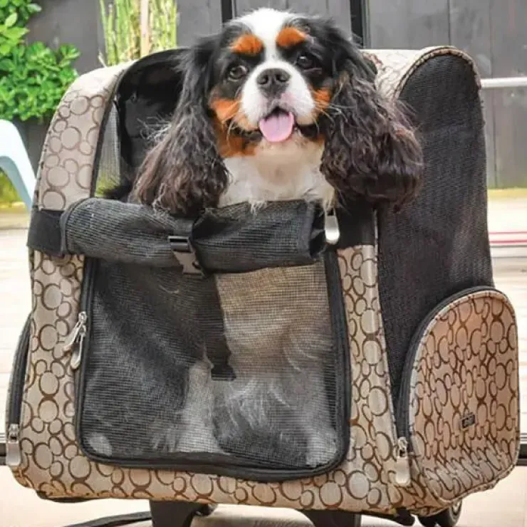 Doogy Rejse Rygsæk til hunde