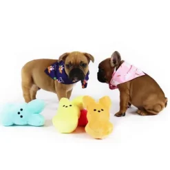 Easter Dog Bandana