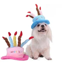 Fødselsdagshat til hunde | med lys