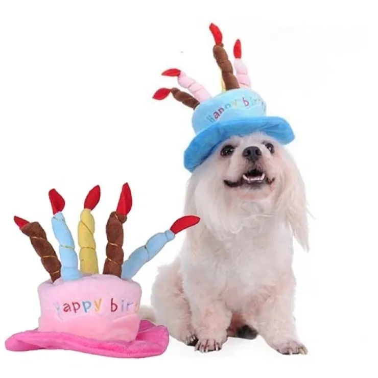 Fødselsdagshat til hunde | med lys