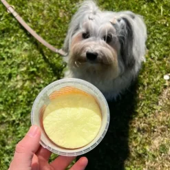 Fidovet Gelato | Hundeis