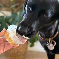 Fidovet Yogurt