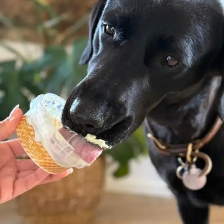 Fidovet Yogurt