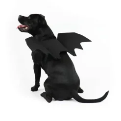 Flagermusvinger til hunde