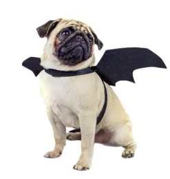 Flagermusvinger til hunde