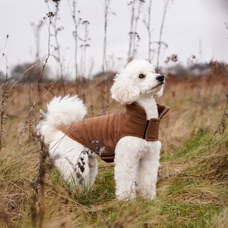 Fleecedækken til hunde