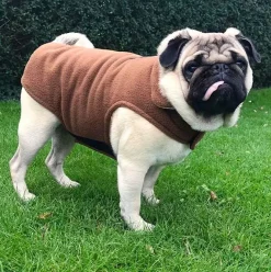 Fleecedækken til hunde