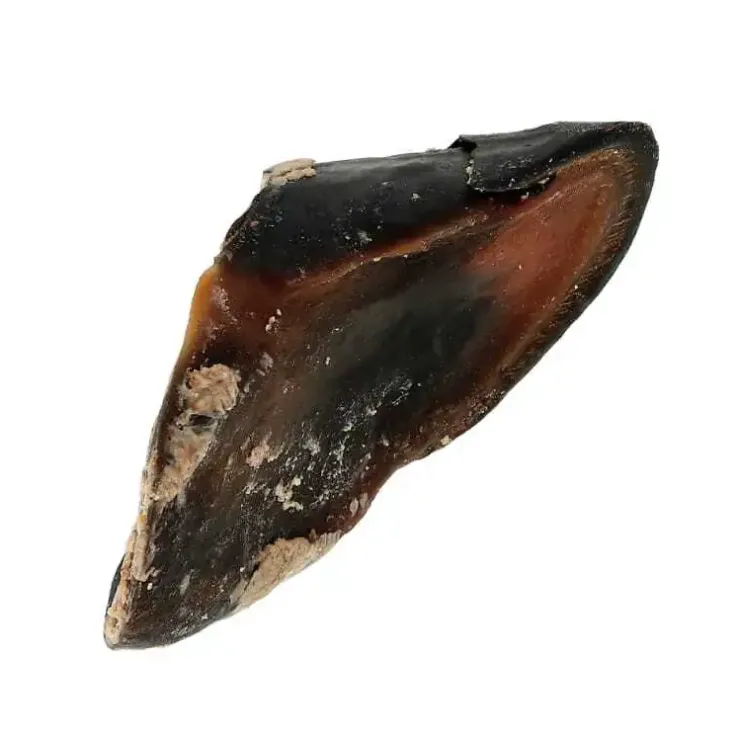 Fyldt Okseklov | 120g