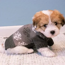 Grå hundesweater med snefnug