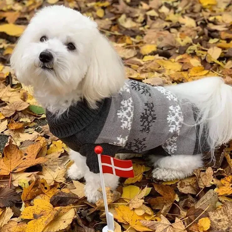 Grå hundesweater med snefnug