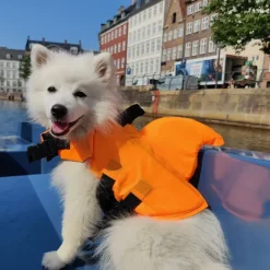 Haj redningsvest