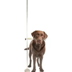 Højdemål til hunde | Justerbart