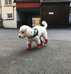 Hundegummistøvler | 4 stk.