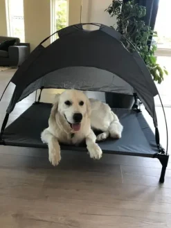 Hundeseng med Soltag
