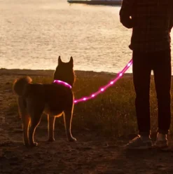 Hundesnor med LED-lys | Genopladelig