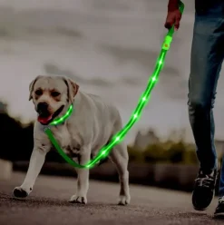 Hundesnor med LED-lys | Genopladelig
