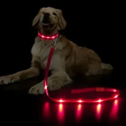 Hundesnor med LED-lys | Genopladelig