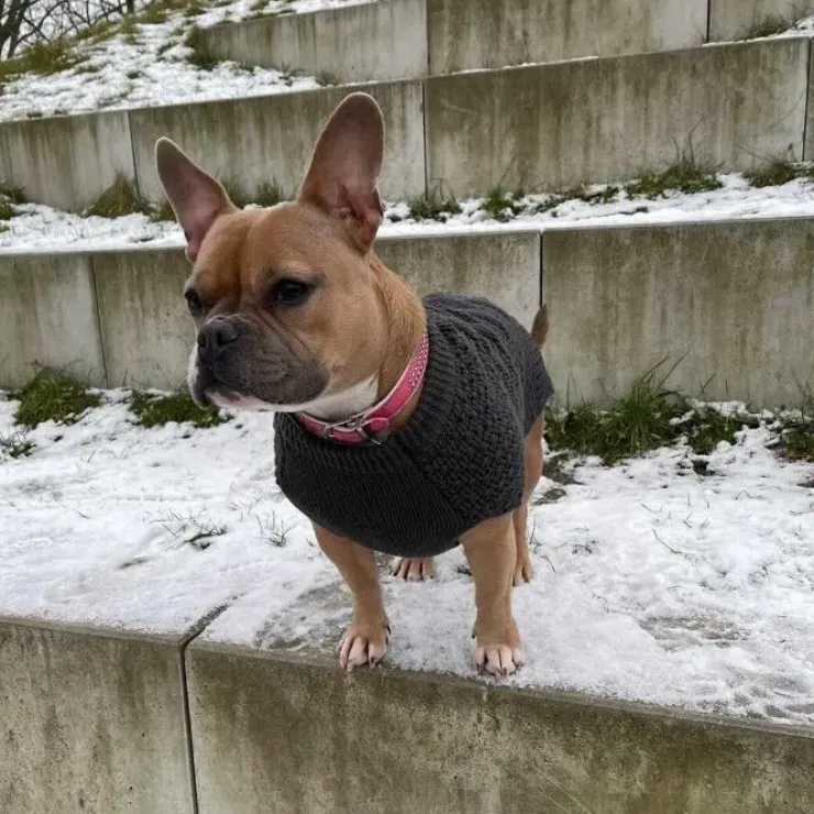 Hunter Hundesweater Malmø 50 cm ryglængde | OUTLET