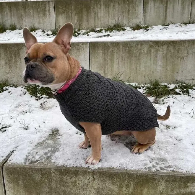 Hunter Hundesweater Malmø 50 cm ryglængde | OUTLET