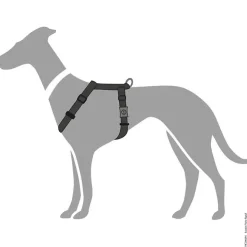 Hunter London Vario Rapid Hundesele