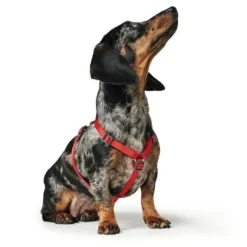 Hunter London Vario Rapid Hundesele