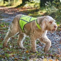 Hunter Refleksvest til hund
