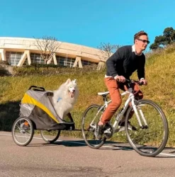 Innopet Hercules 2.0 | Cykeltrailer