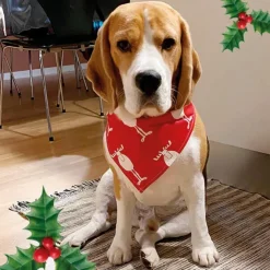 Julebandana med rensdyr