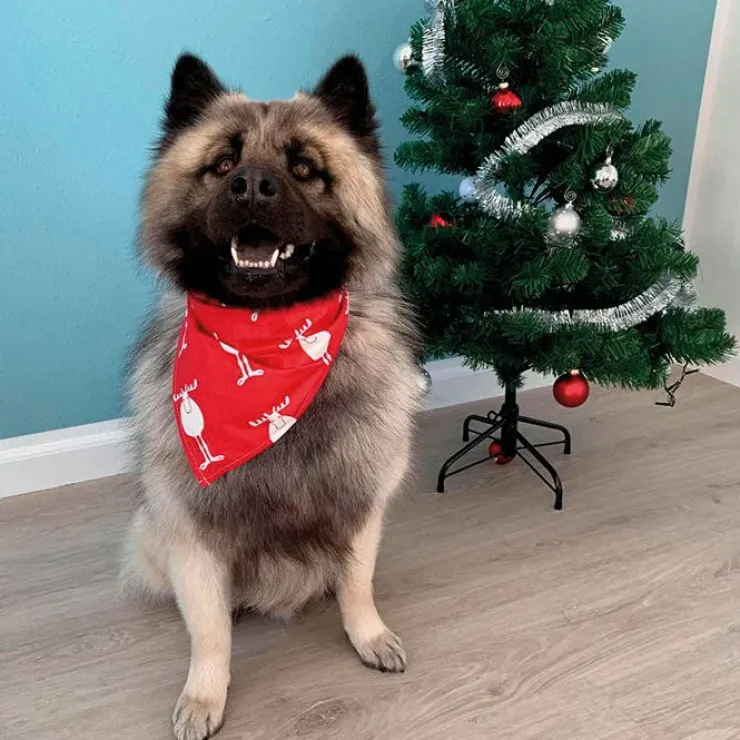 Julebandana med rensdyr