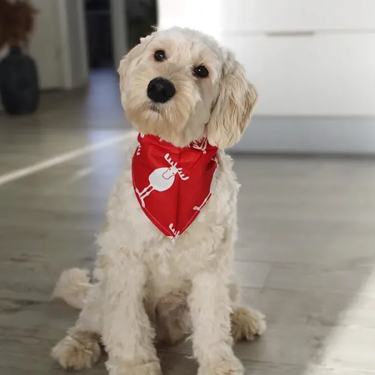 Julebandana med rensdyr