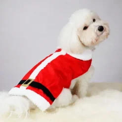Julemandstøj til hund