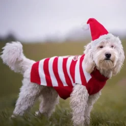 Julesweater m. striber
