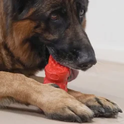 KING KLOMP Slidstærk Legetøjssko OUTLET