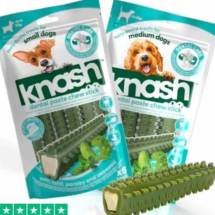 Knash Dental Chew Mint