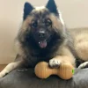 KONG Bamboo feeder dumbell