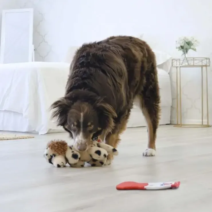Kong Comfort Pups Hundelegetøj