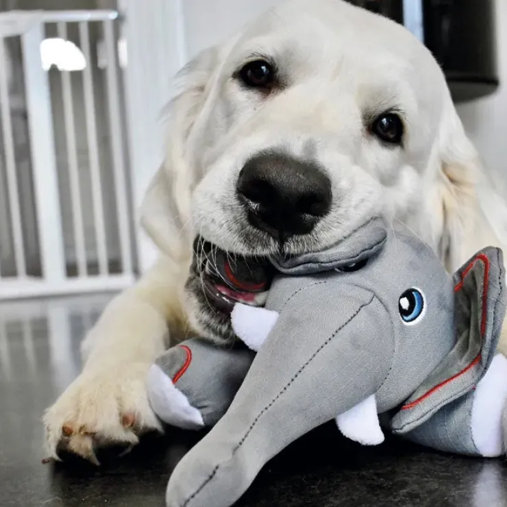 KONG Cozie Ultra Ella Elephant