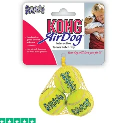 KONG mini tennisbold med piv | Net m. 3 stk