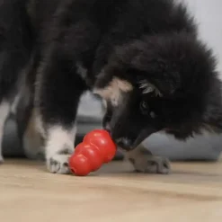 KONG Original