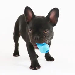 KONG Puppy Small| hvalpelegetøj