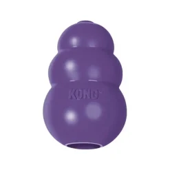 Kong Senior