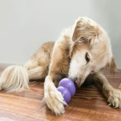 Kong Senior