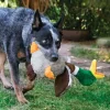 KONG Shakers Honkers Duck